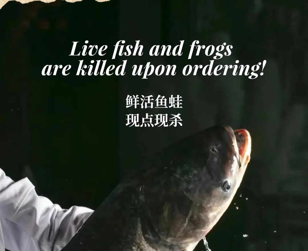 麻三郎 · 渔蛙铺鲜货火锅 | 玉林店